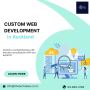 Choose The Best Custom Web Development in Auckland