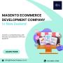 Best Magento E-commerce Development Company 