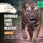 Wild Expeditions: Bandhavgarh Tiger Reserve Tour.