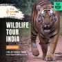 Wildlife Adventures: Tiger Safari India 