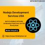 Nodejs Development Services USA - ThinkTanker