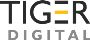 Leading SEO Agency in Ahmedabad | Tiger Digital 