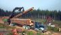 Floods in BC Creating Supply Chain Issues in Lumber Industry