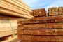 Lumber Prices for the Coming Year
