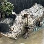 Buy Metal Sculptures from Tiny Rhino Sculptures