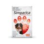 Buy Simparica Chewables 120MG for XLarge Dogs 40.1-60KG RED