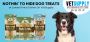 Buy Nothin’ to Hide Dog Chews Online | VetSupply