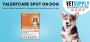 Buy Talentcare Spot On Dog Flea & Worm Treatment for Puppies Buy Talentcare Spot On Dog Flea & Worm Treatment for Puppies