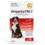 Buy Simparica Trio For Extra Large dogs 40.1-60KG (Red)