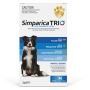 Buy Simparica Trio For Medium dogs 10.1-20KG (Blue) | VetSup