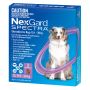 Buy Nexgard Spectra Large Dog - Fleas Ticks Mites Heartwo