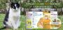 Buy Flea and Tick Treatment for Cats at Best Price Online | 