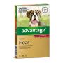 Advantage: Dog & Cat Flea Control | Low Prices | Free Shippi