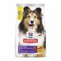Hill's Science Diet Sensitive Stomach & Skin Adult Dog Food
