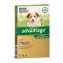 Aloveen Oatmeal Shampoo & Conditioner for Dogs & Cats Advant
