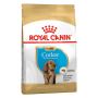 Royal Canin Puppy Cocker Spaniel Dry Dog Food | VetSupply