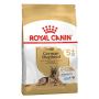 Royal Canin German Shepherd 5+ Adult Dry Dog Food