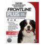 Frontline For Dogs And Cats | Flea & Tick Treatment 