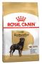 Royal Canin Rottweiler Adult Dry Dog Food | VetSupply