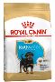 Royal Canin Rottweiler Puppy Dry Dog Food Online | VetSupply