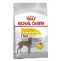 Royal Canin Dermacomfort Maxi Adult Dry Dog Food | VetSupply