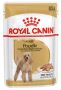 Royal Canin Poodle Adult Loaf Pouches Wet Dog Food - VetSupp