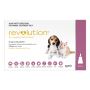 Revolution For Dogs | Flea, Tick and Worm Treatment