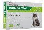 Neoveon Plus for Cats - Fleas and Lice | VetSupply