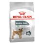 Royal Canin Mini Dental Care Adult Dry Dog Food | VetSupply