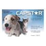 Capstar Flea Tablets for Dogs and Cats | Flea Treatment