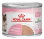 Royal Canin Mother & Babycat Wet Cat Food - VetSupply