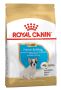 Royal Canin French Bulldog Puppy Dry Dog Food | VetSupply