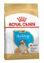 Royal Canin Bulldog Puppy Dry Dog Food - VetSupply