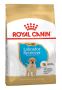 Royal Canin Labrador Retriever Puppy Junior Dry Dog Food