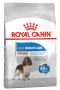 Royal Canin Light Weight Care Adult Dry Dog Food - VetSupply