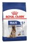 Royal Canin Maxi Adult 5+ Years Dry Dog Food | VetSupply