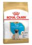Royal Canin Pug Puppy Dry Dog Food | VetSupply