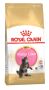 Royal Canin Maine Coon Kitten Dry Cat Food - VetSupply