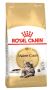 Royal Canin Maine Coon Adult Dry Cat Food - VetSupply