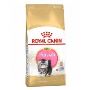  Give Your Persian Kitten the Best with Royal Canin Dry Cat 