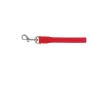 Beau Pets Single Nylon Lead Red for Dogs | VetSupply