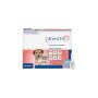 Evicto Spot-On Flea & Worm Treatment for Dogs | VetSupply