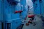 best travel agency in India