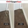 Elevate Your Space: Expert Carpet Cleaning in El Cajon CA
