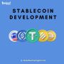 Stable coin development company