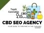 Who Can Benefit from CBD SEO Services?