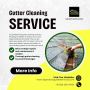Littleton's Choice for Quality Gutter Cleaning Service Provi