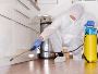 Are You Searching for the best pest control Alice TX?