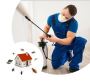 Are You Searching for best pest control expert San Marcos?