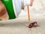 Looking for reliable pest control in New Braunfels, TX?